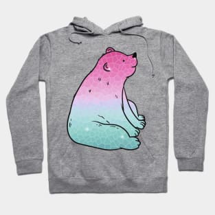 Mosaic Bear Hoodie